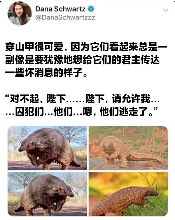今日沙雕：小明誤食風油精之后滿嘴風涼話宣傳圖18