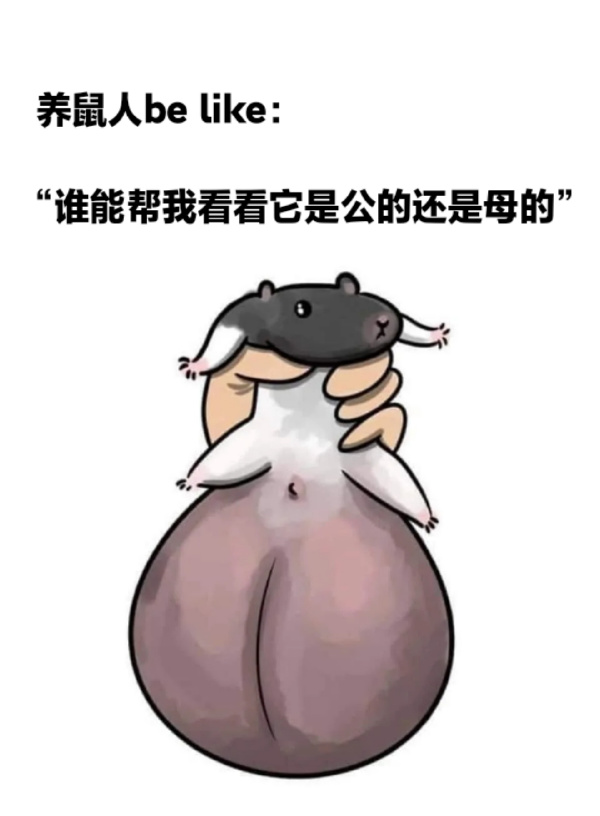 今日沙雕：小明誤食風油精之后滿嘴風涼話宣傳圖21