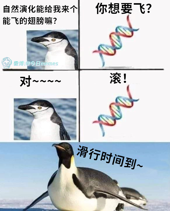 今日沙雕：小明誤食風油精之后滿嘴風涼話宣傳圖80