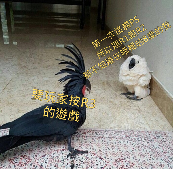 今日沙雕： “我要打十個(gè)！”小紅走進(jìn)人流手術(shù)室宣傳圖6