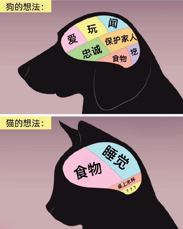 今日沙雕： “我要打十個(gè)！”小紅走進(jìn)人流手術(shù)室宣傳圖16