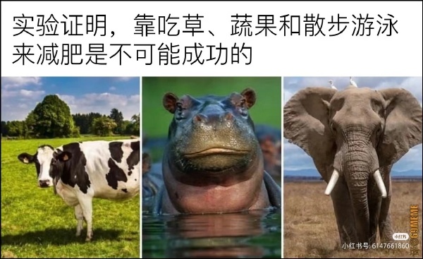 今日沙雕： “我要打十個(gè)！”小紅走進(jìn)人流手術(shù)室宣傳圖54