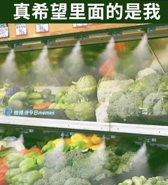 今日沙雕： “我要打十個(gè)！”小紅走進(jìn)人流手術(shù)室宣傳圖91