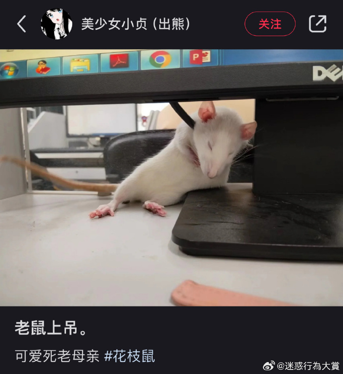 今日沙雕：建議美國把26個字母改成25個字母，因為n是反u的宣傳圖143